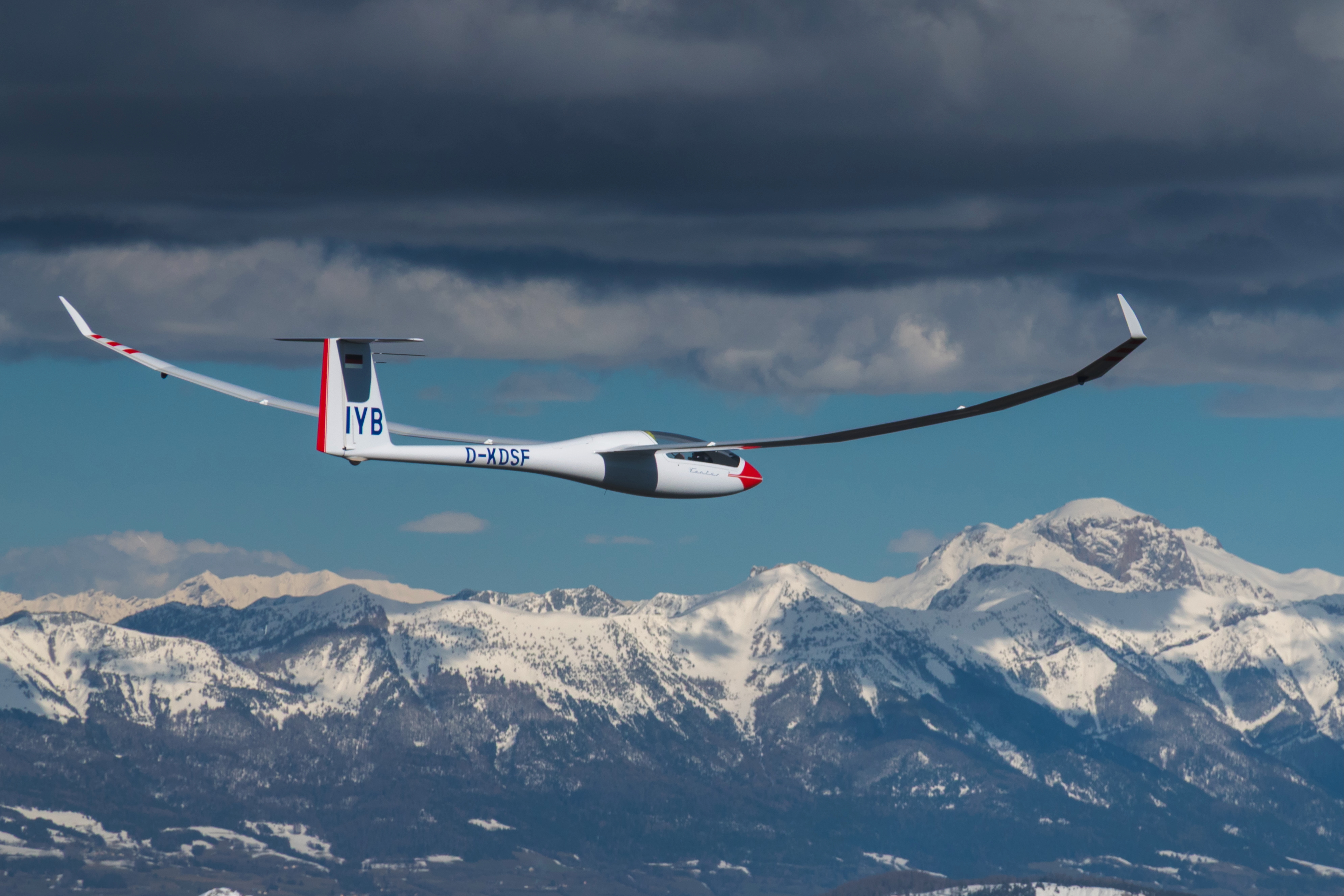 Segelflieger fliegen weiter vorneweg